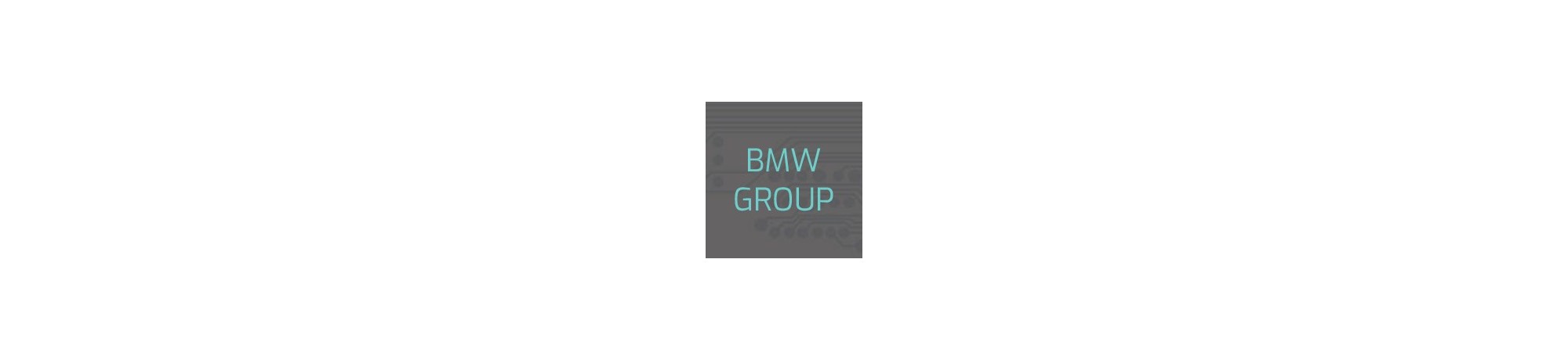 BMW Group