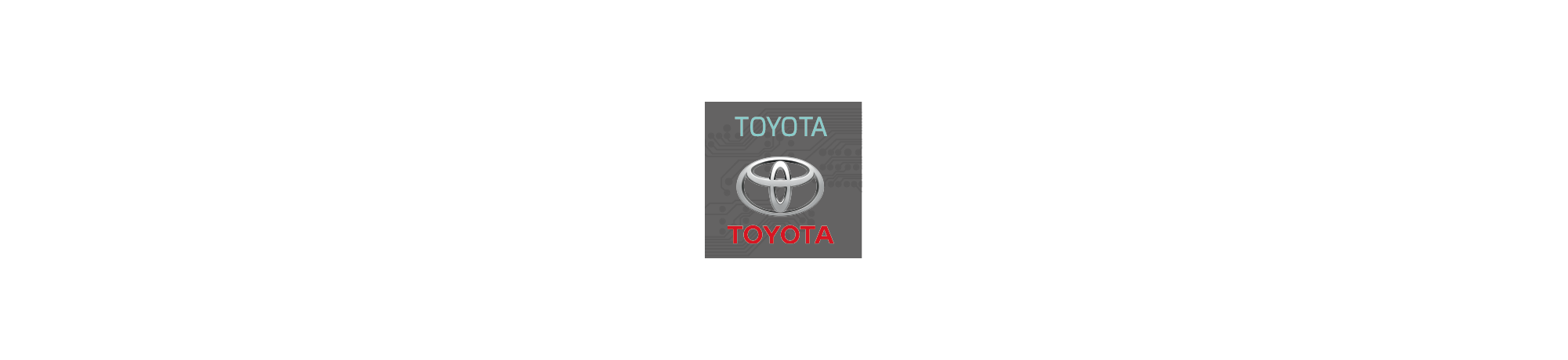 Toyota Group