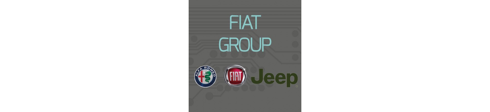 Fiat Group